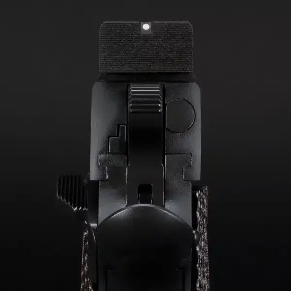 Alça de mira da pistola Springfield Armory 1911 Garrison Target vista pelo atirador.