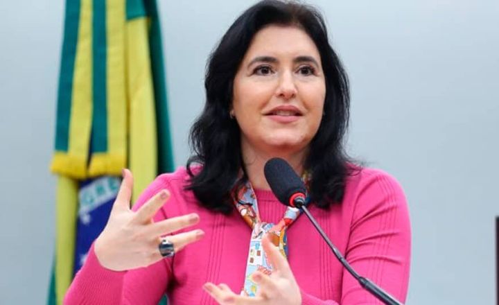 Simone Tebet fala ao microfone com bandeira do Brasil ao fundo.