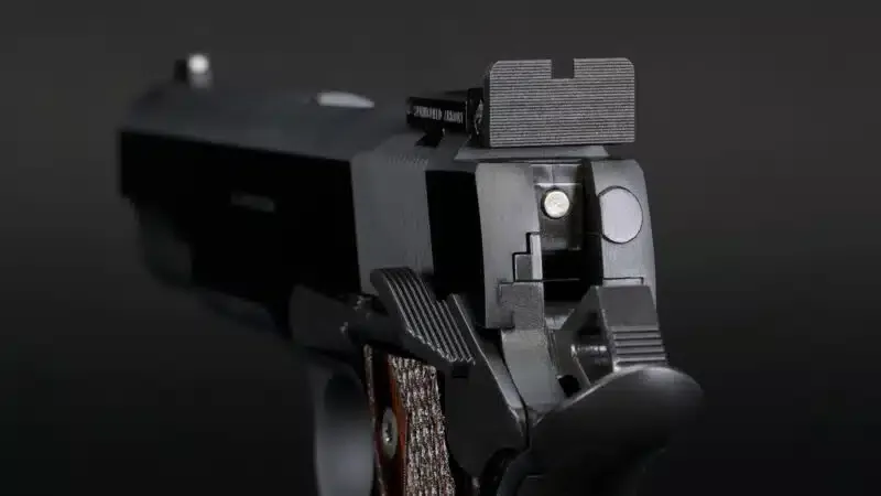 Alça de mira da pistola Springfield Armory 1911 Garrison Target vista pelo atirador.